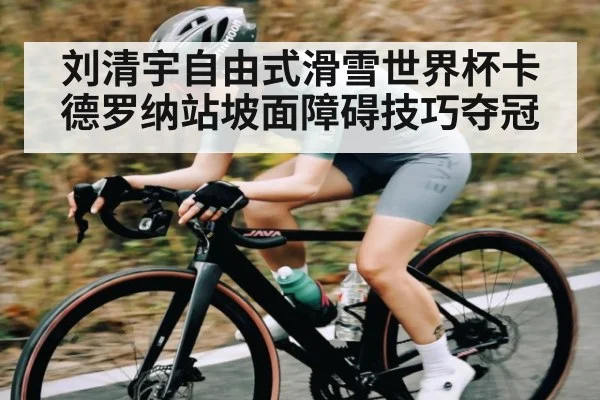 刘清宇自由式滑雪世界杯卡德罗纳站坡面障碍技巧夺冠