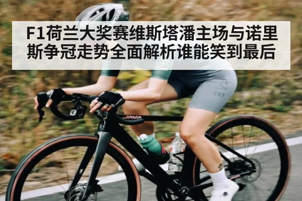 F1荷兰大奖赛维斯塔潘主场与诺里斯争冠走势全面解析谁能笑到最后 - kaiyun